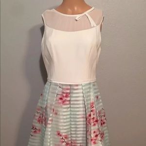 NWT Ted Baker Idola Natural Soft Blossom Dress
